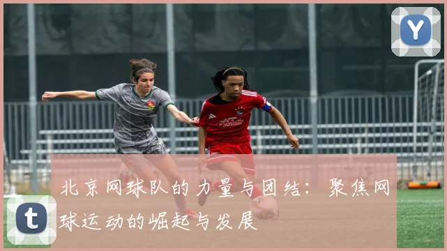 北京网球队的力量与团结：聚焦网球运动的崛起与发展